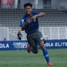 Biodata Pemain Persib Eriko Sulastiano