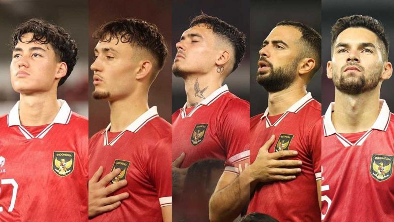 Pemain Naturalisasi Timnas Indonesia